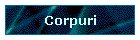 Corpuri