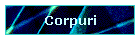 Corpuri