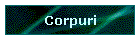 Corpuri